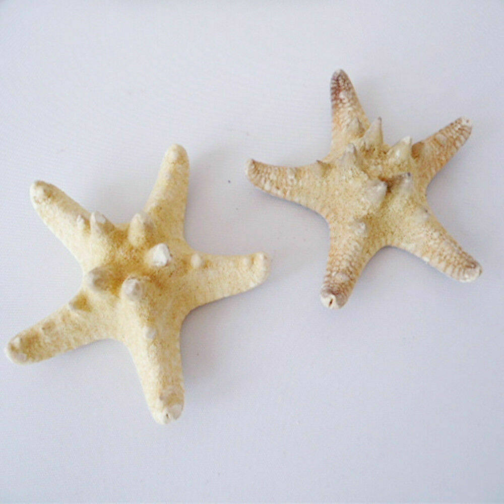 2pcs Natural Starfish Sea Star Shell DIY Aquarium Landscape Making Craft Decors