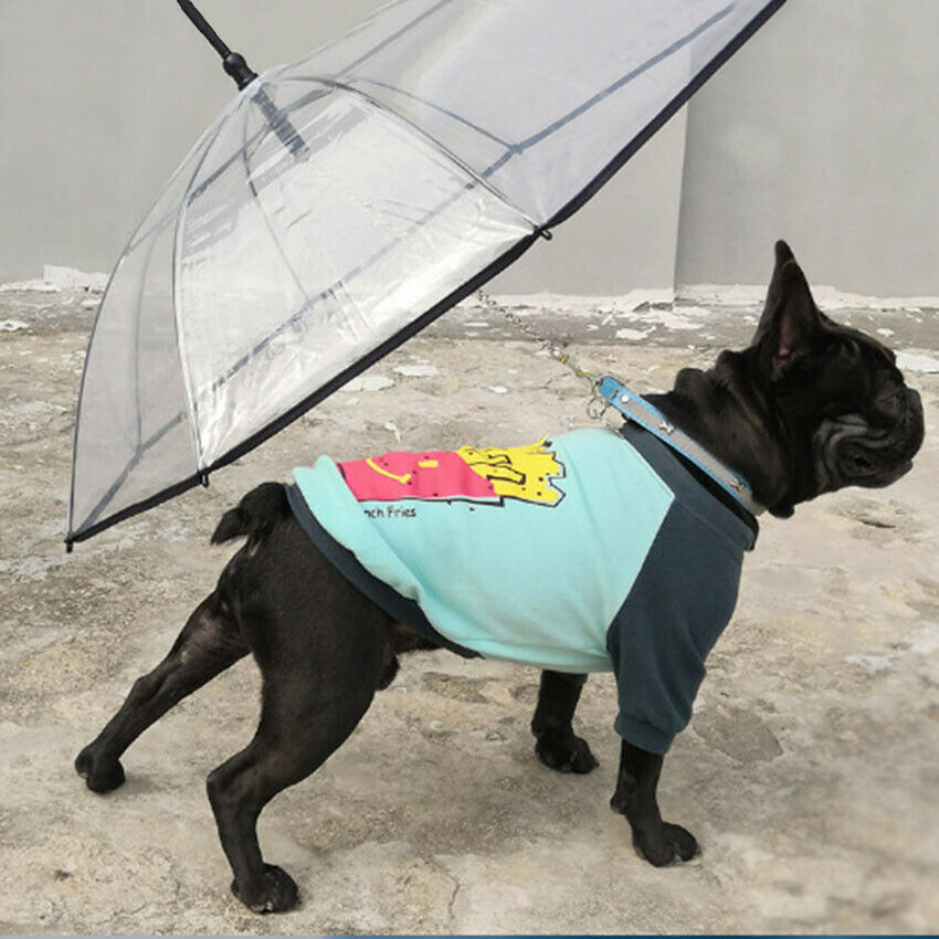 Pet Umbrella Built In Leash Dog Puppy Dry Walking Sleet Snow Rain Clear Plastic