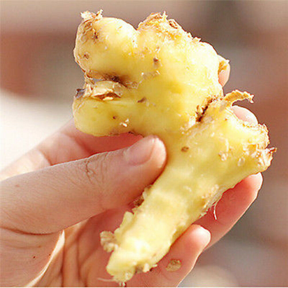 2XPractical Stainless Steel Kitchen Gadget Garlic Ginger Cutter Peeler Tool US