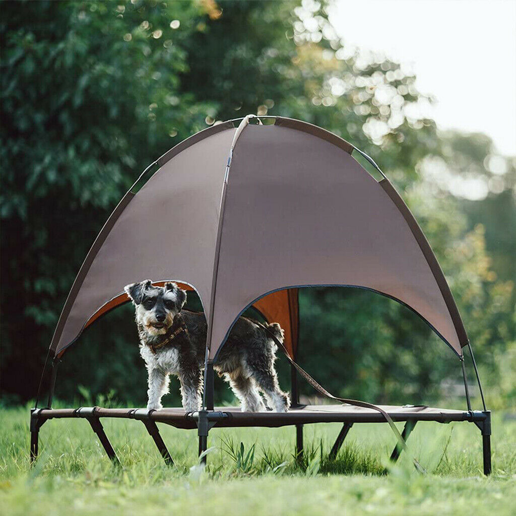 Elevated Pet Bed with Canopy Lightweight Dog Cat Camp Tent Outdoor Beach