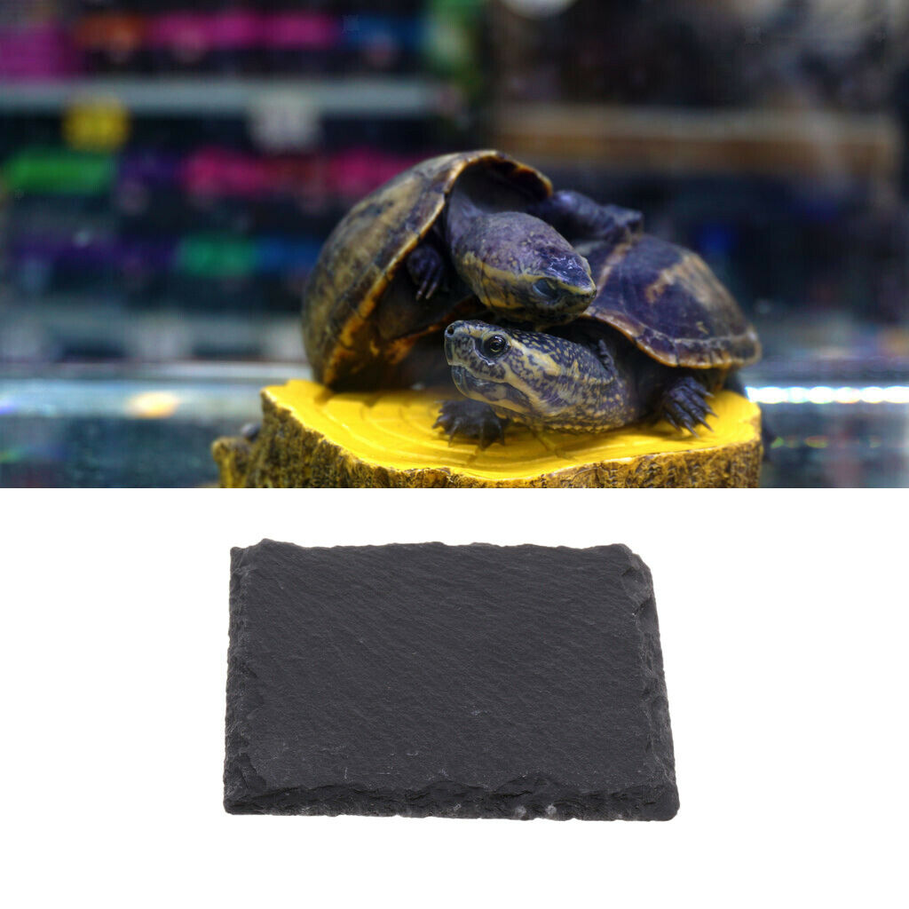 Pet Reptile Rock Basking Platform Tortoise Rock Feeding Food Dish Bowl