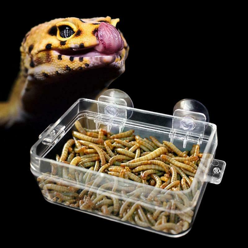 Anti-Escape Food Bowl Worm Container with Suction Cups Terrarium Accessories