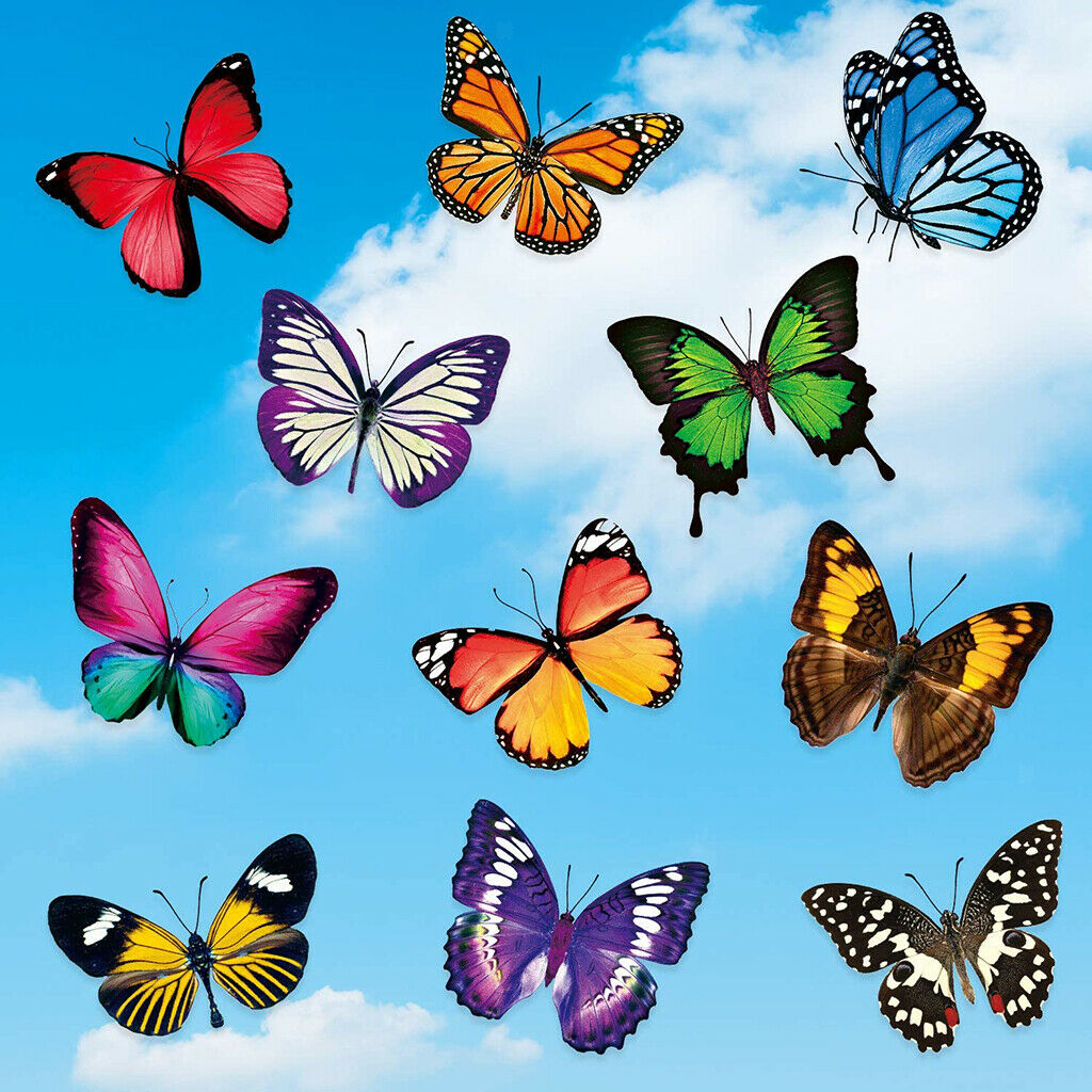 20x Colorful Butterfly Window Clings Window Decals Living Room Home Decor