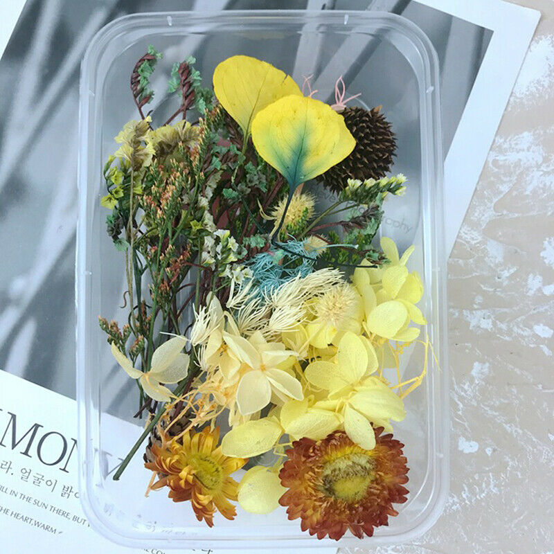 1 Box Dried Flower DIY Accessories Dry Candle Pendant Home Wedding Flower.l8