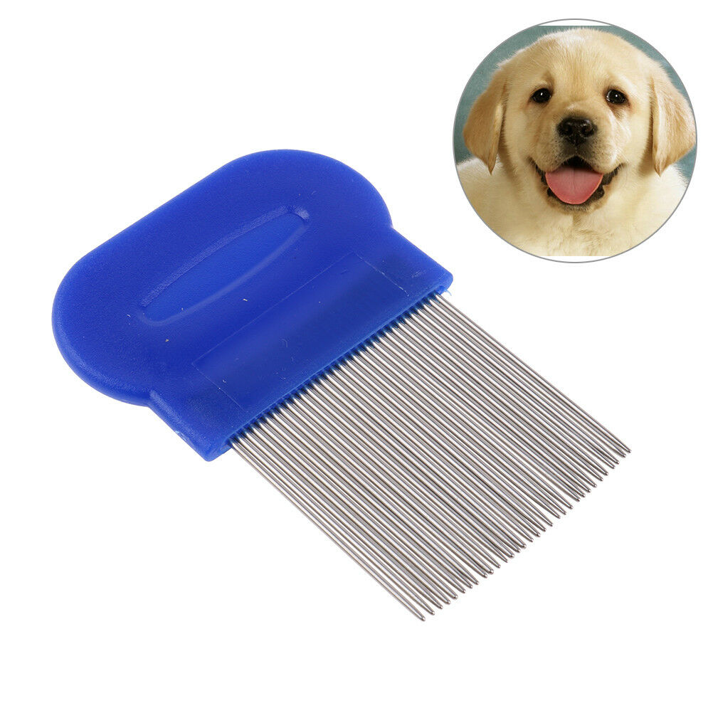 Hair LiceComb Brushes Terminator FineEgg Dust Nit Free Removal Stainless SteelDD