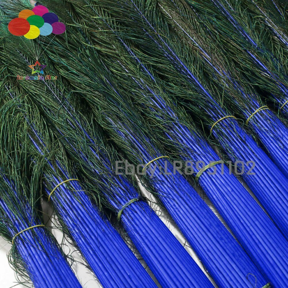 100 Pcs sapphire Real Peacock Feathers 70-80cm Feathers for Crafts Wedding