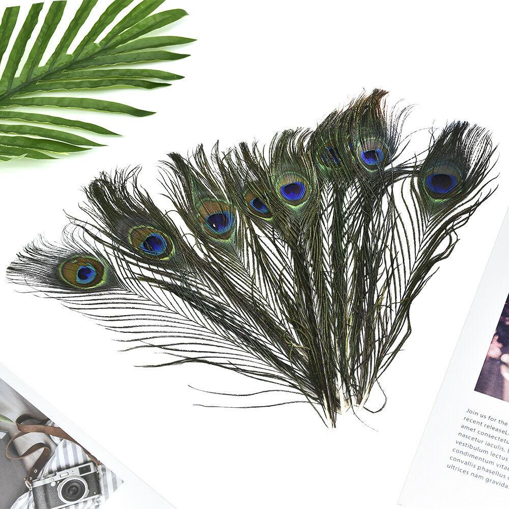 10pcs Beautiful Natural Peacock Tail Feathers 10-12inch For DIY Decoration US