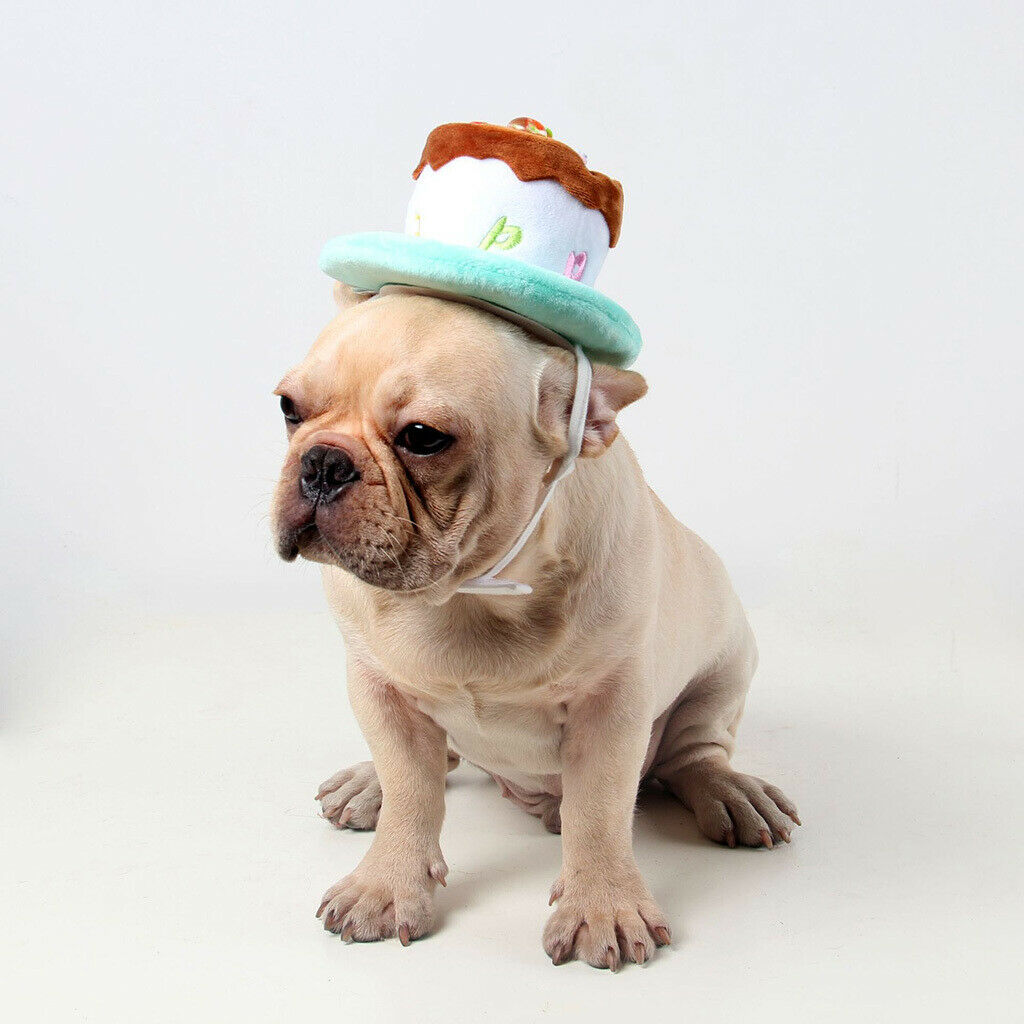Dog Cat Birthday Hat Cute Lovely Pet Happy Birthday Hat Headwear Party 1
