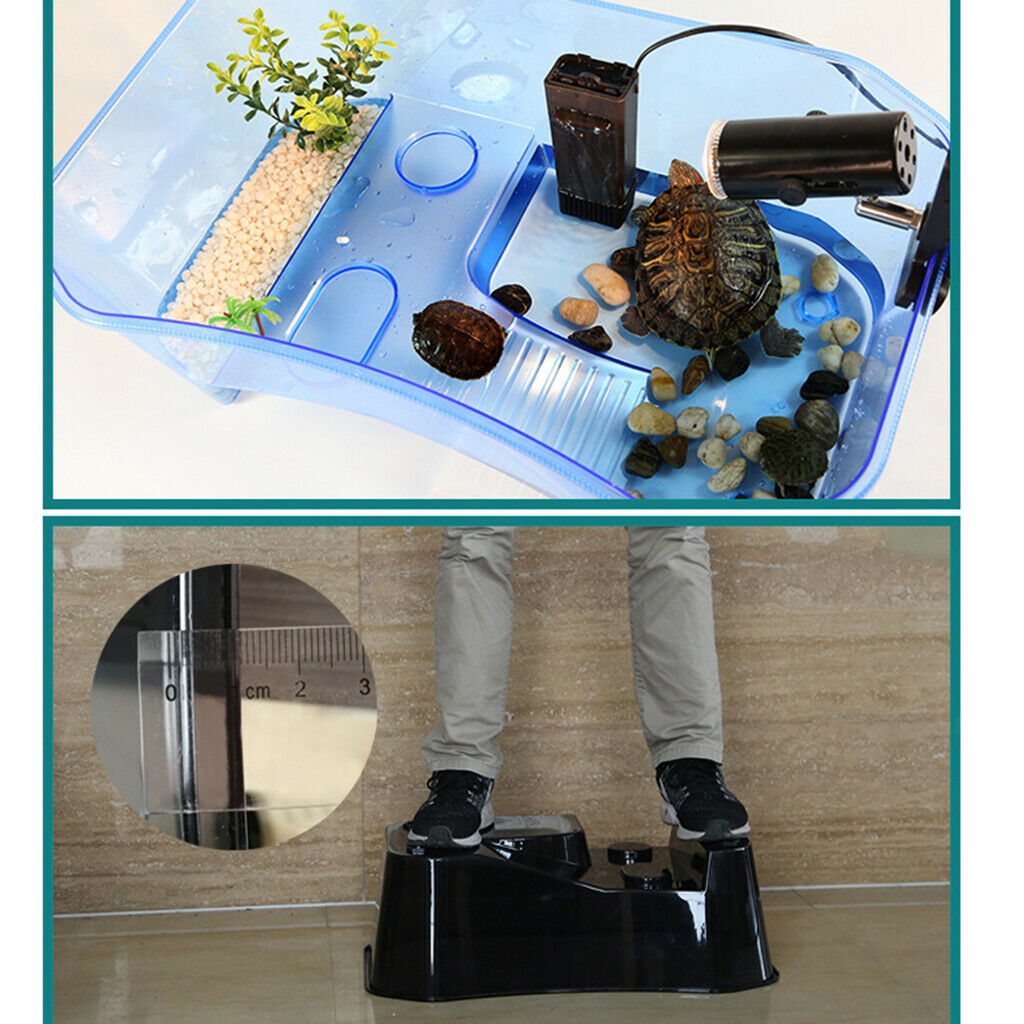 Blue Reptile Turtle Tank Vivarium Feeding Box With E27 Base Basking Lamp Holder