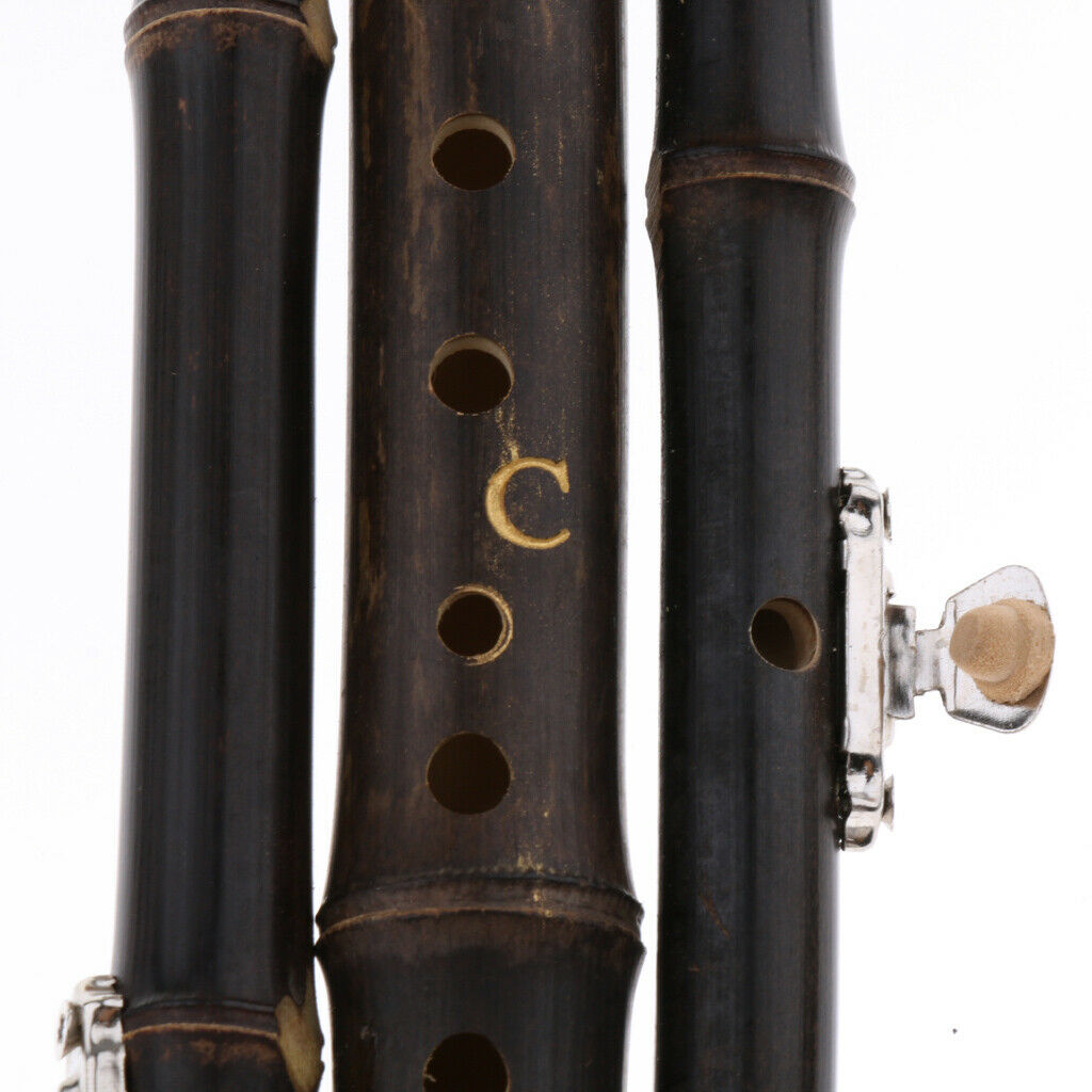 Chinese Hulusi Bamboo Gourd Cucurbit Flute Musical Instrument C Tone
