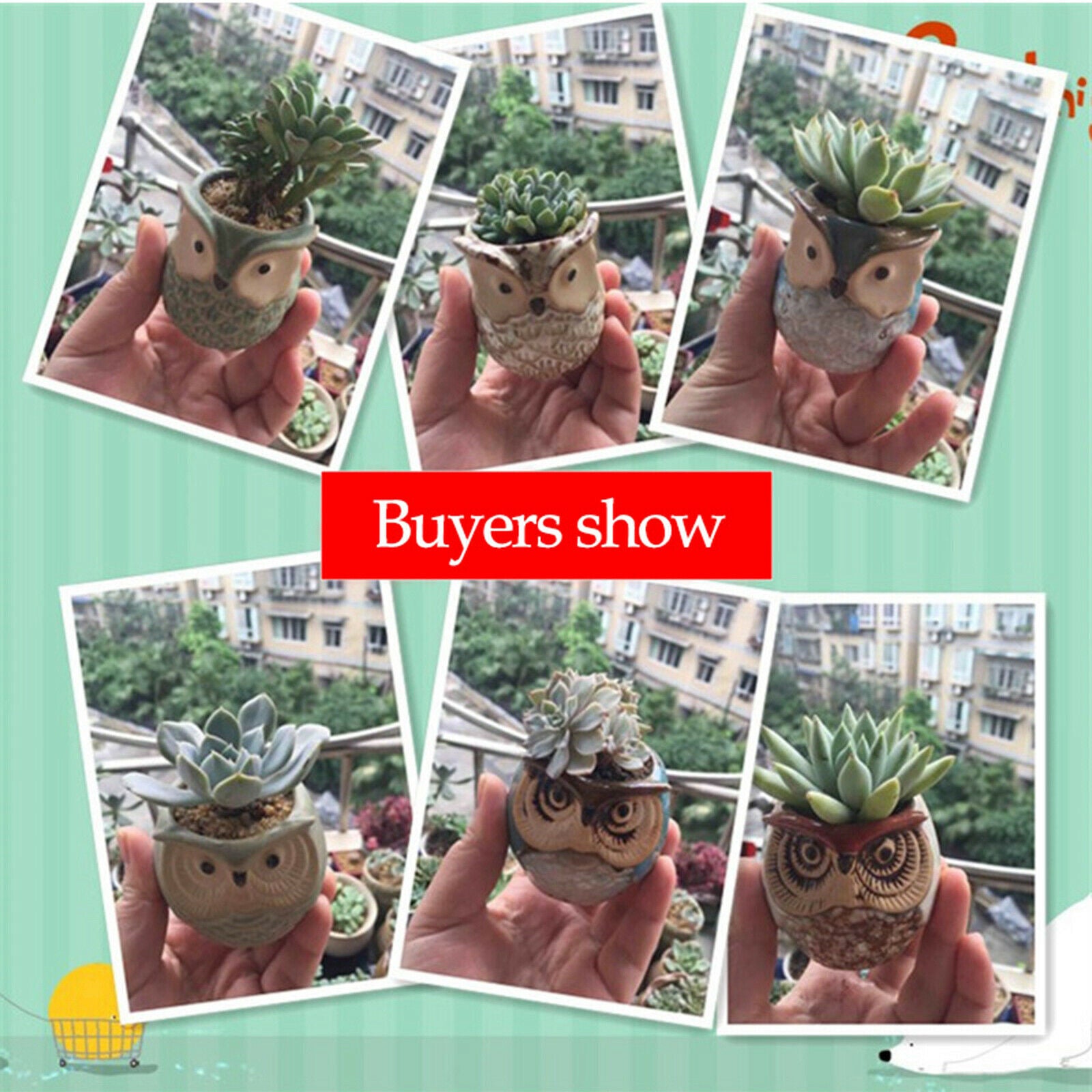 Mini Owl Succulent Plants Pots Flower Potted Plant Desktop Home Office Decor
