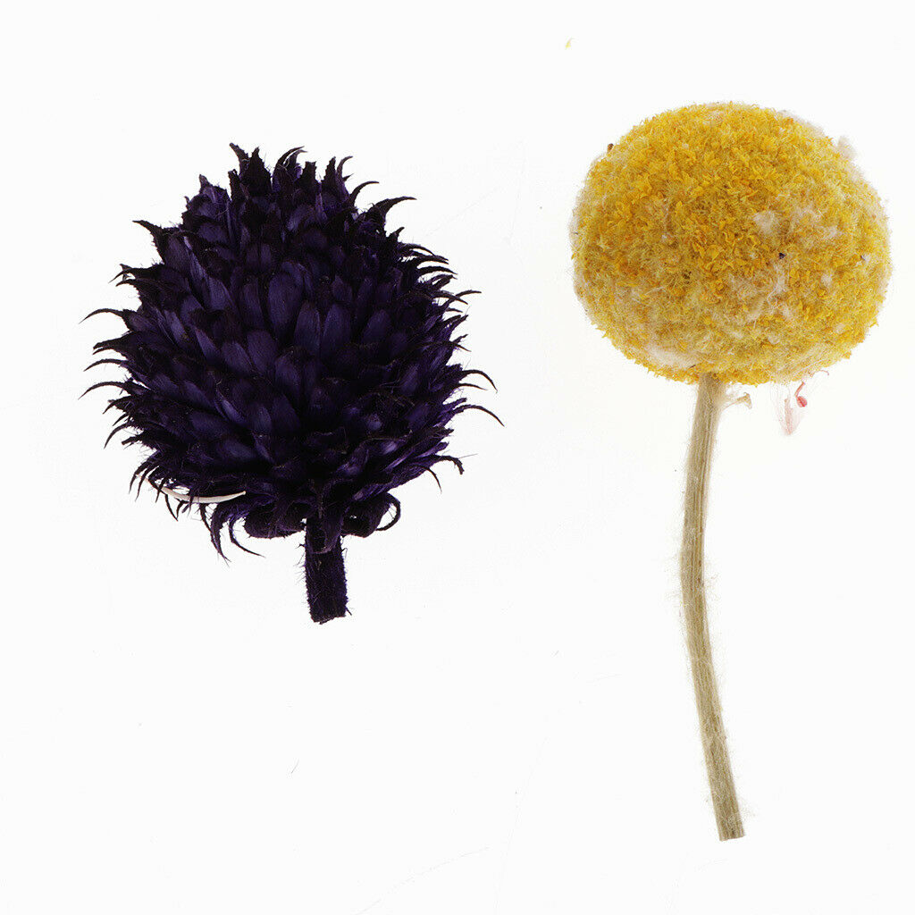 Dried Flowers Rose Decoration For Candle Making Scrapbooking Home Decor