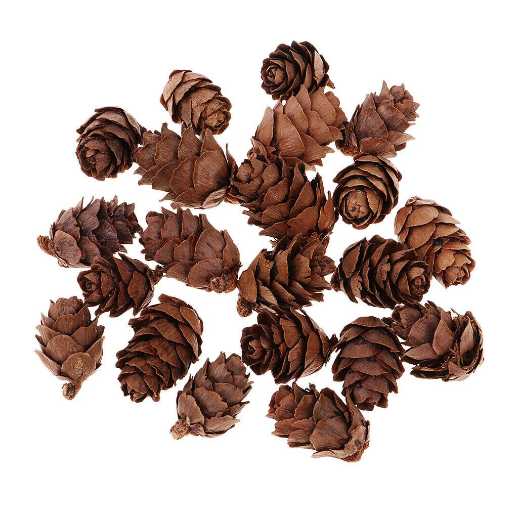 100x Decorative Pinecone Pine Cone Vase Bowl Filler Display Table Decoration