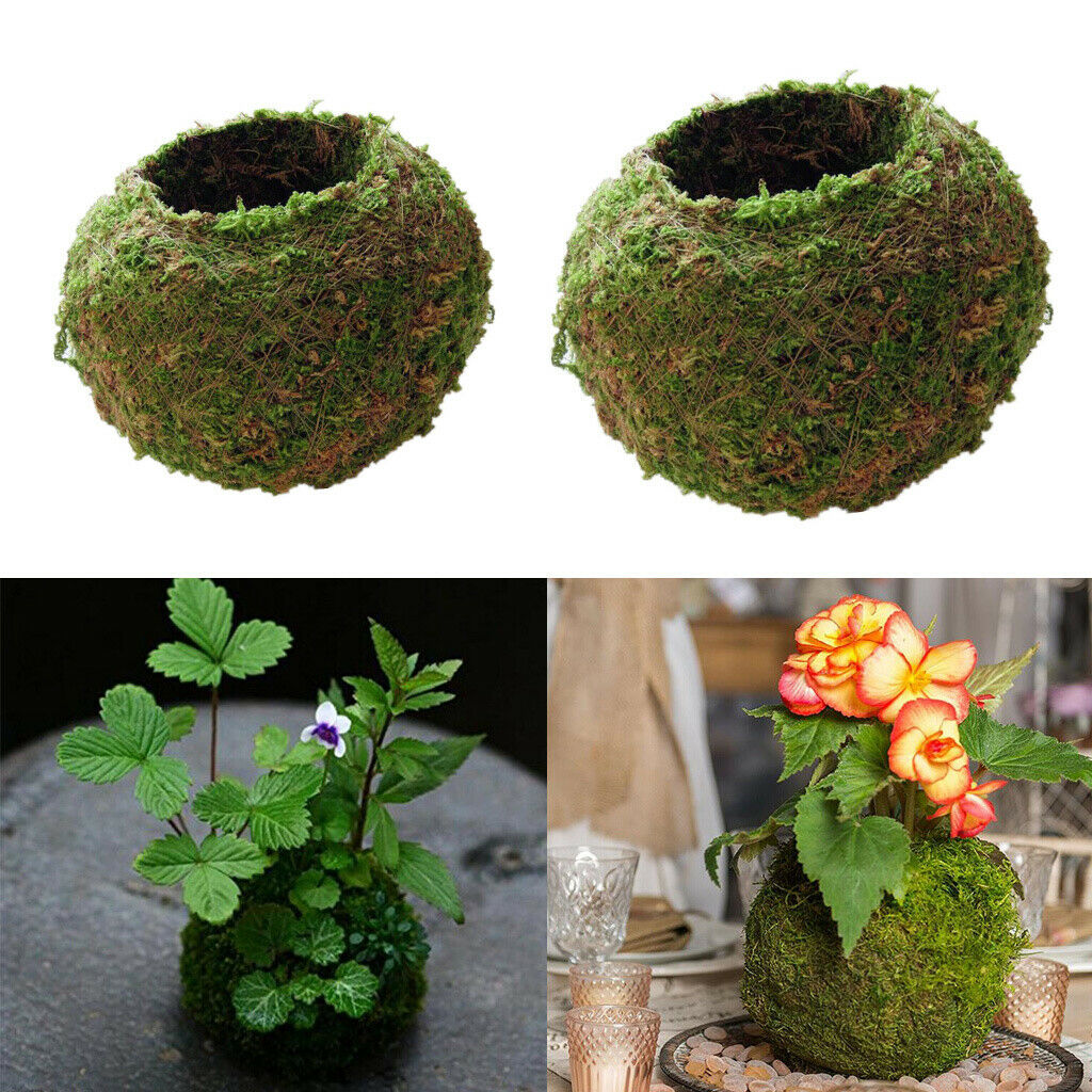 2pcs Naturally Green Moss Ball Flowerpot Plant Holder Garden Ornament Holiday