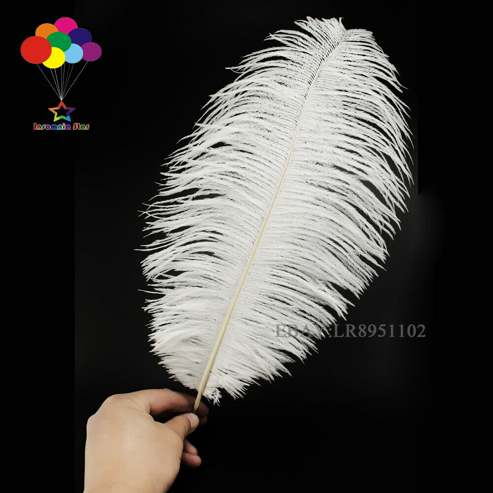 White Ostrich Feather 8-10 Inch/20-25 cm 50 PCS Home Decor Romantic wedding