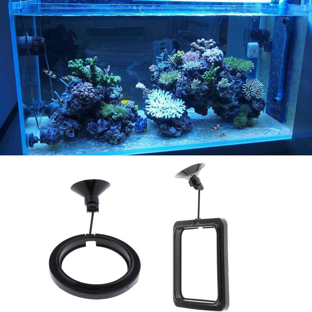 2 Pack Aquarium Fish Tank Fishes Feeding Ring Feeding Circle Square