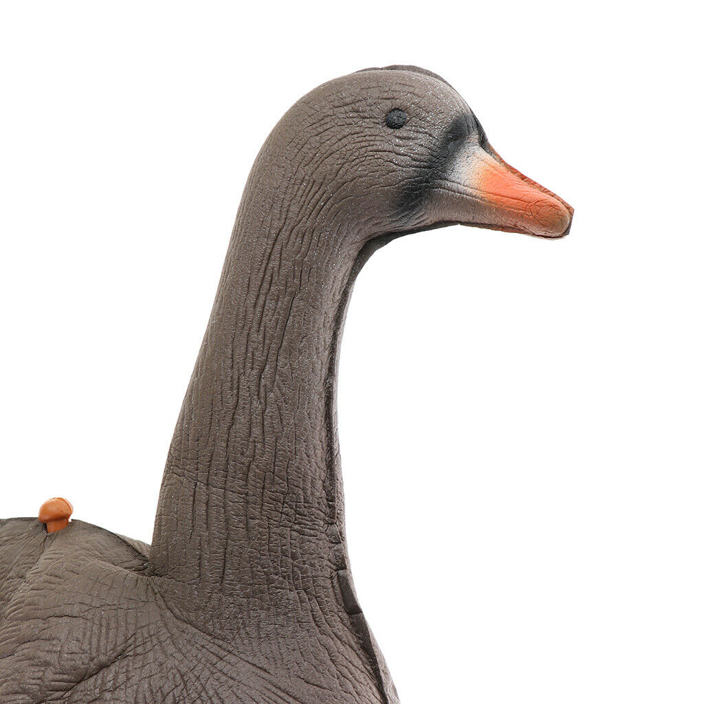 Set of 2 Vivid Full Size Goose Hunting Decoy Scarer Target Yard Bird Flyer