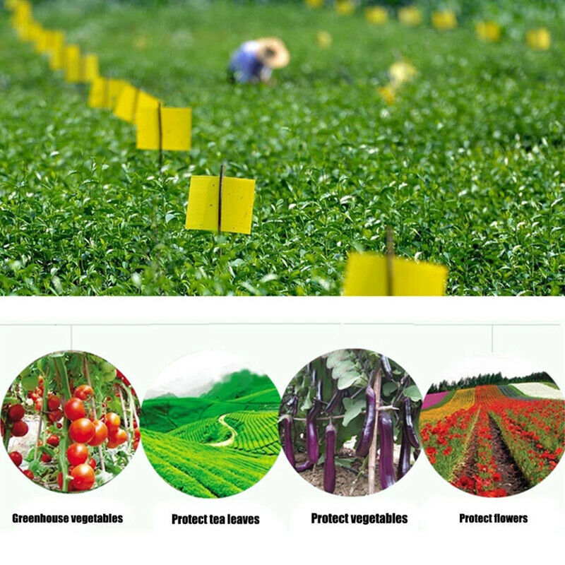 5PCS Fly Trapper Dual-Sided Yellow Sticky Traps Flying Plant Insect stick.l8