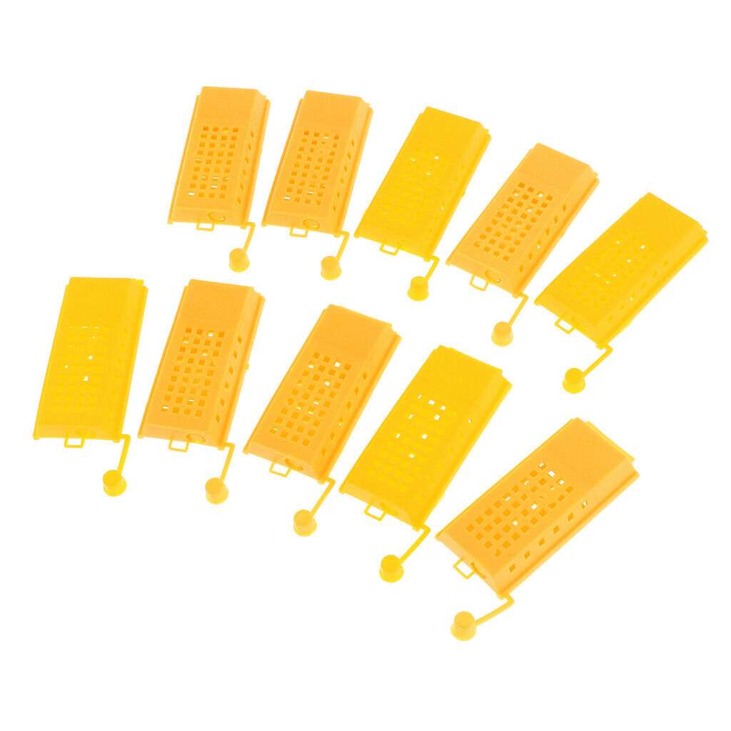 10 Pieces Beekeeping Tools Bee Cage To Catch With Bees Wild