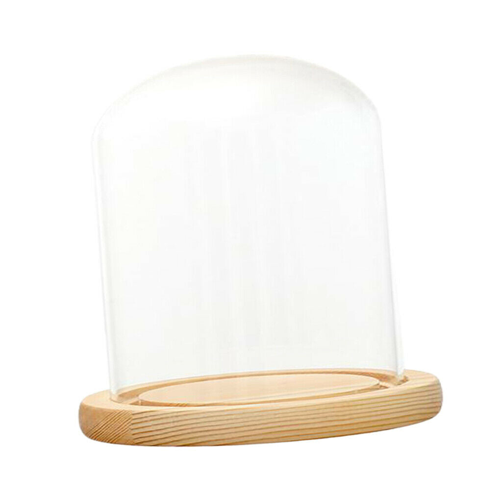 Clear Glass Display Dome with LED Wood Base Microlandscape Holder E 12x12cm