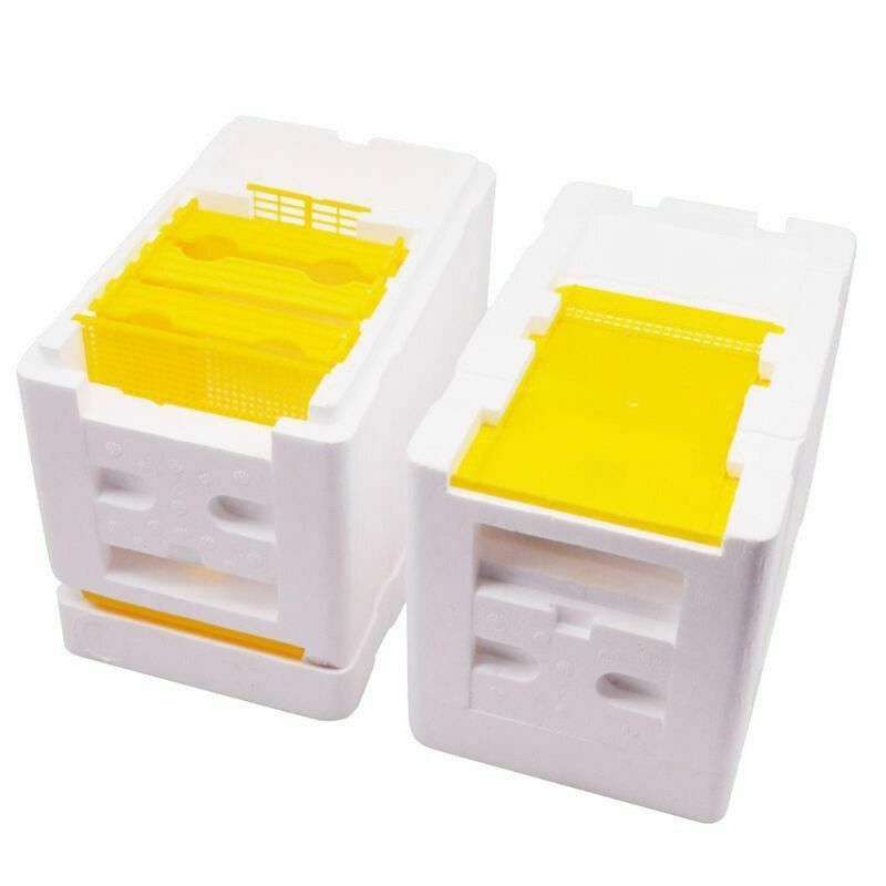 Queen Bee Rearing Mating Hive Tools Equipment Kit Beekeeping Tool Beehive Box