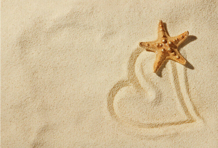 Girls Womens Pretty Natural Starfish Sea Star Hairpin Hair Clip Beach Jewelry