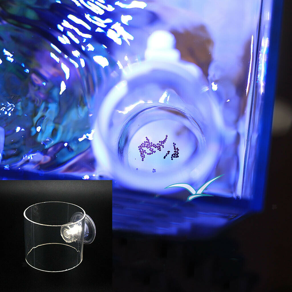 Round Shape  Feeding Ring Aquarium  Tank Food Feeder with Suction L