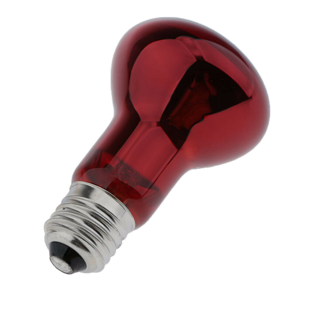 Reptile UVA Lamp Terrarium Lizard Tortoise Pet Supply Screw-In 220-240V 25W