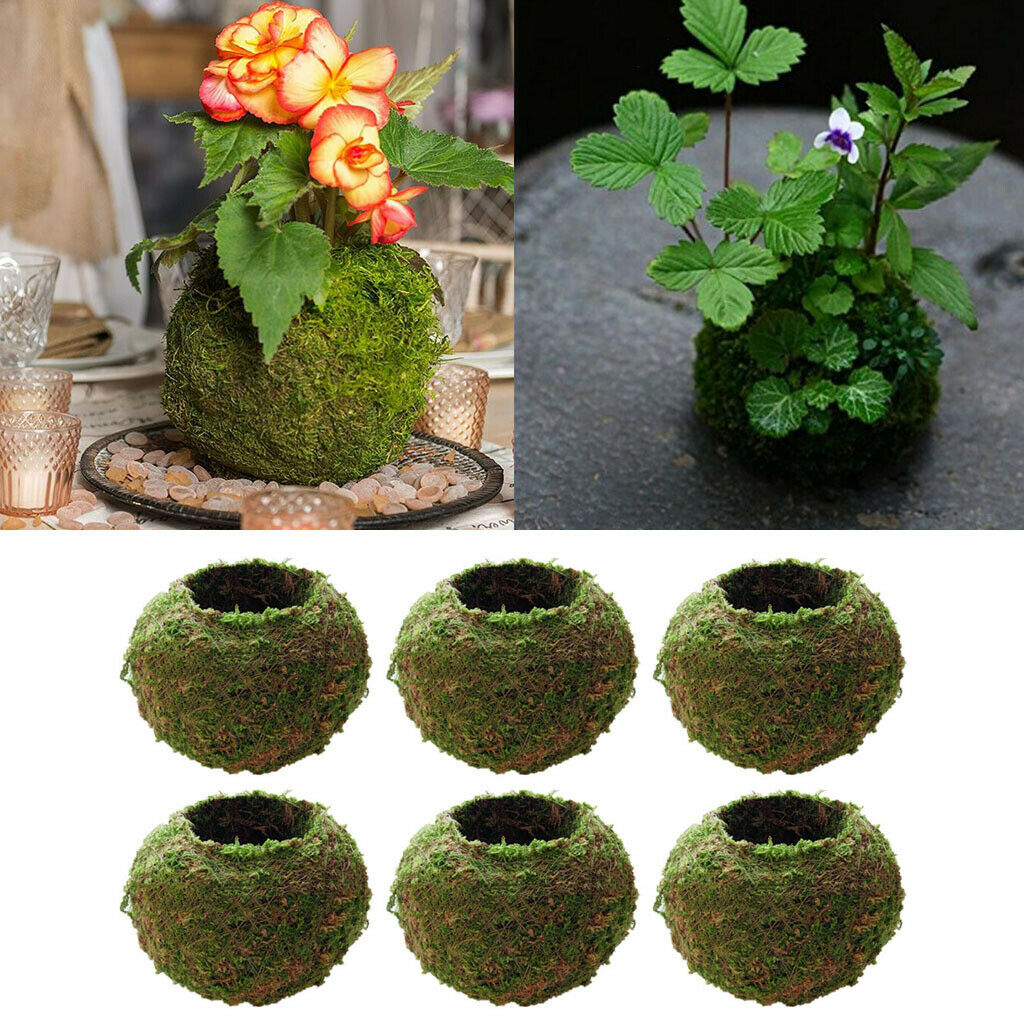 6Pcs Green Artificial Moss Balls Decorative Planters, Ideal for Vases, Table