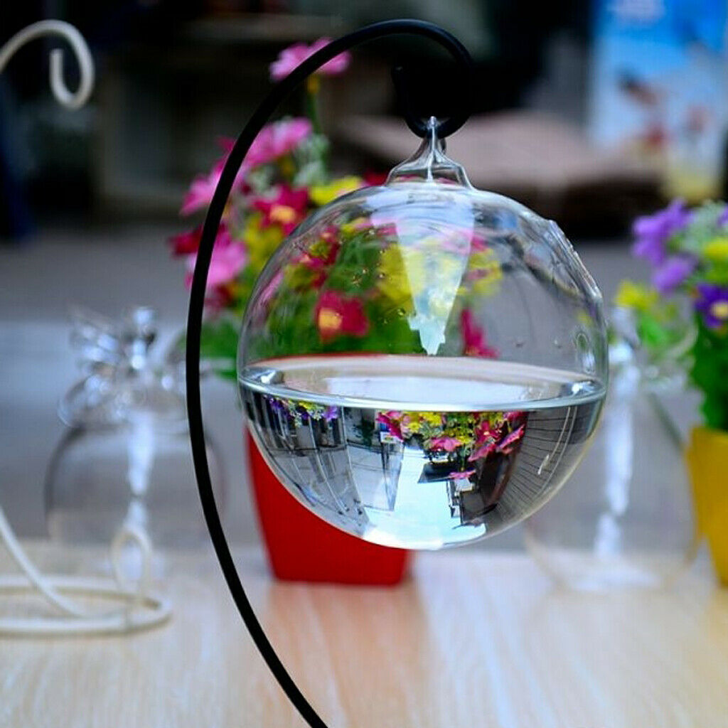 Glass Vase Hanging Ball Shape + Iron Plant Support Plant Holder Hanging Holder