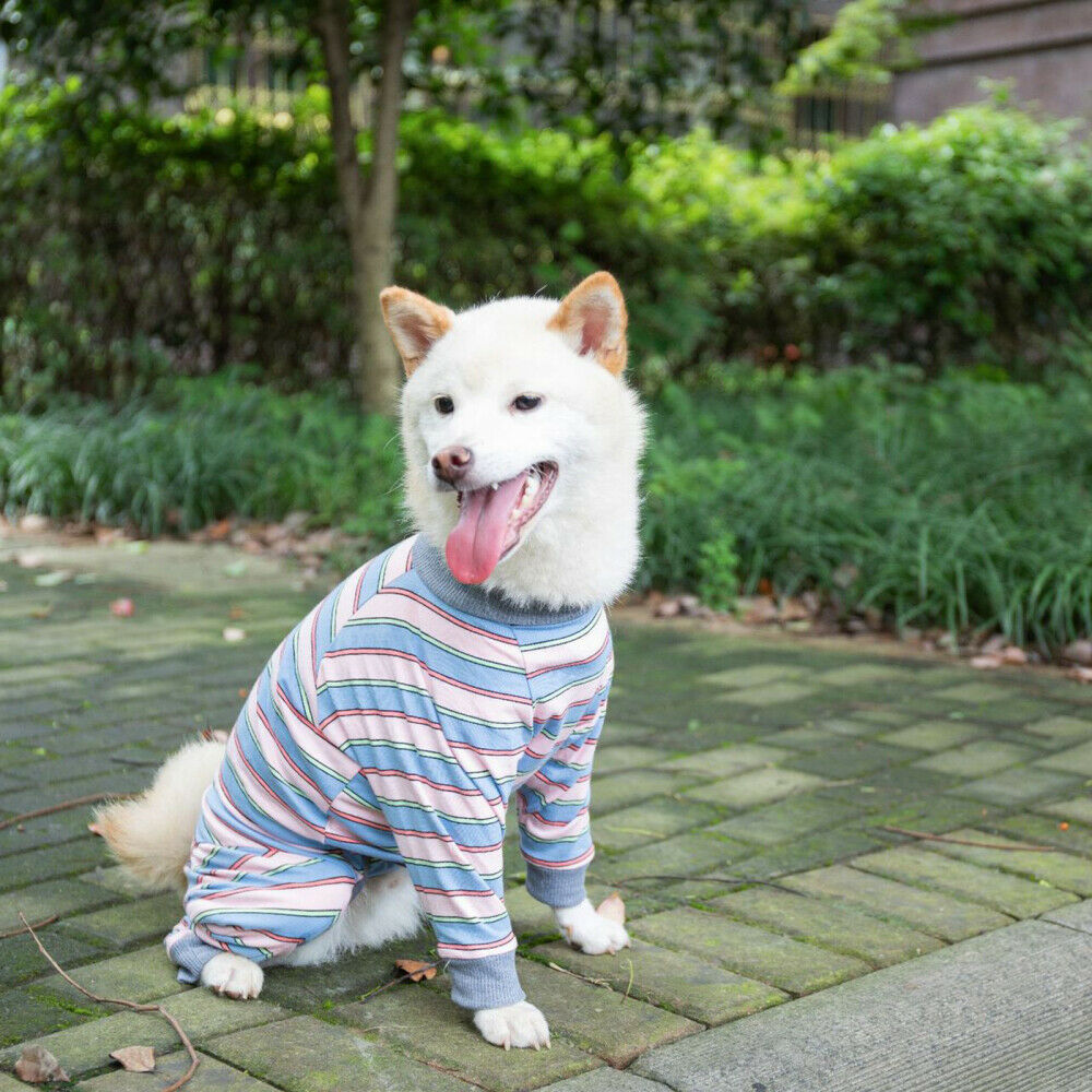 Dog Suit/Bodysuit/Jumpsuit/Long Sleeve 4 Legs Pajamas for Medium Large Dogs