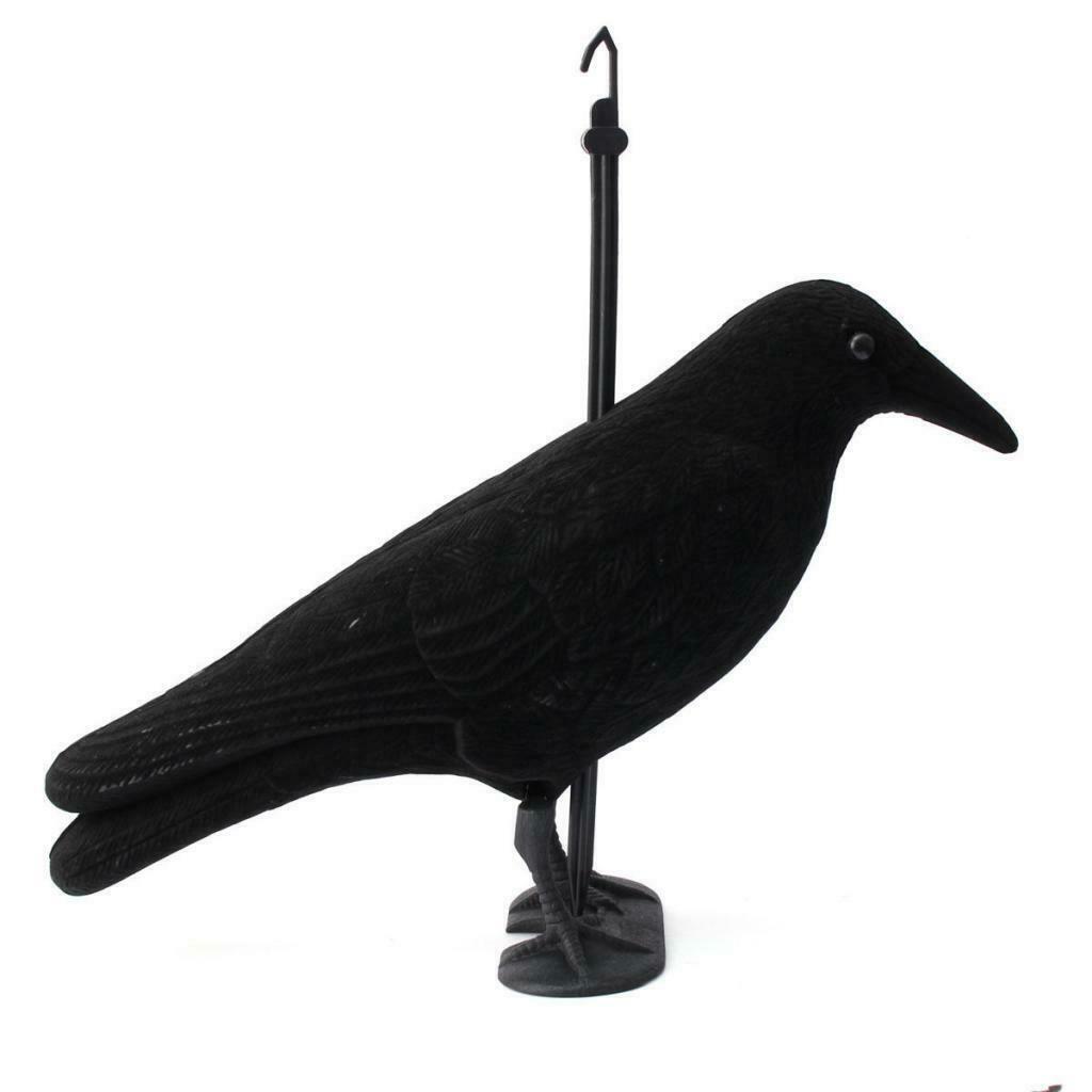 Crows Shooting, Rocket Trap, Realistic Size Black Flocked Crow Jet Trap