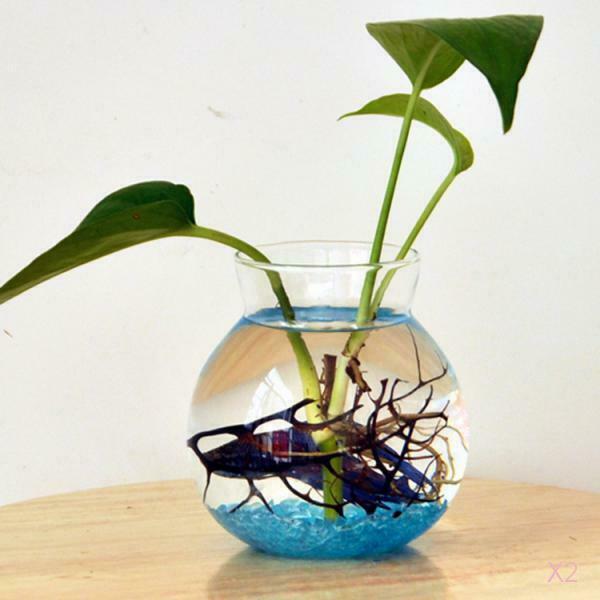Clear Glass Planter Vase Terrarium Tank Aquarium Table Decoration