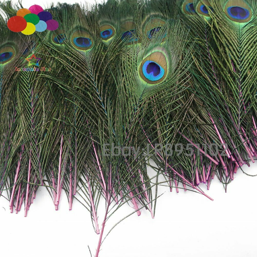 New 100 pcs/lot of beautiful Pink peacock feathers 25-30cm DIY weddings reunions
