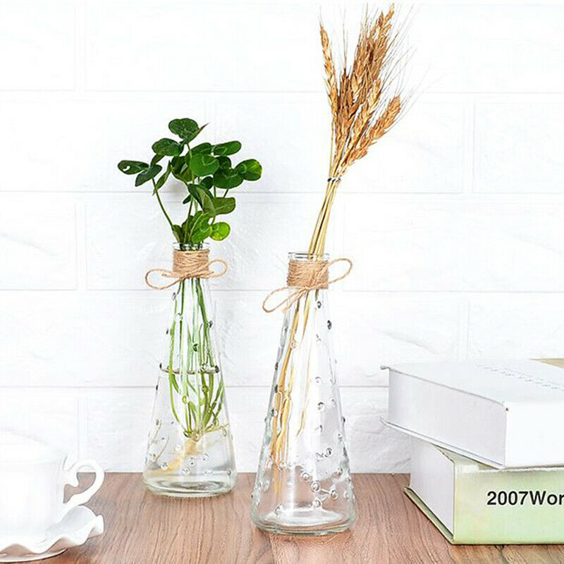 Raindrop Conical Glass Vase Decorate Home Nordic Dried Flower Hydroponic Bottle