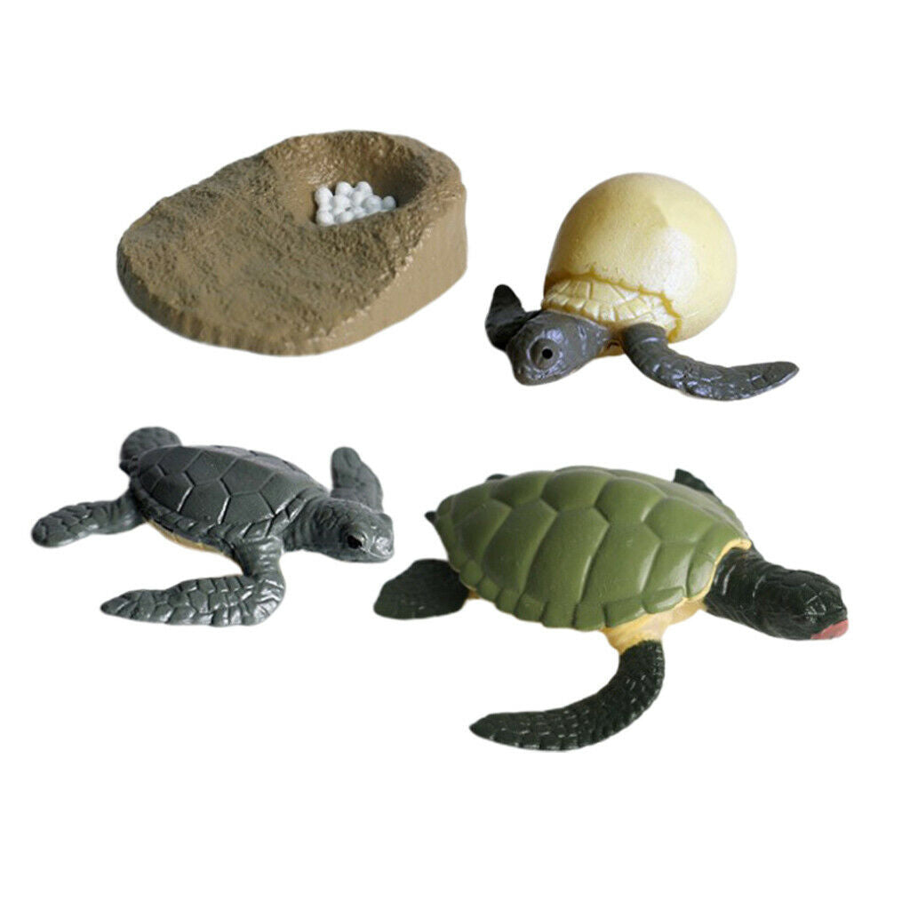 Lots 4 Solid Growth Cycle Realistic Sea Turtle Figures Kids Collectibles