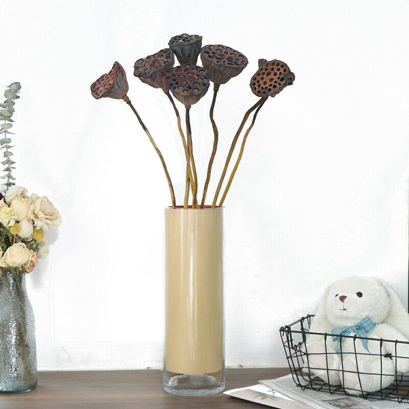 1Pc Lotus Natural Dried Flowers Farmhouse Bouquet Plant Branch Fall Decor.l8