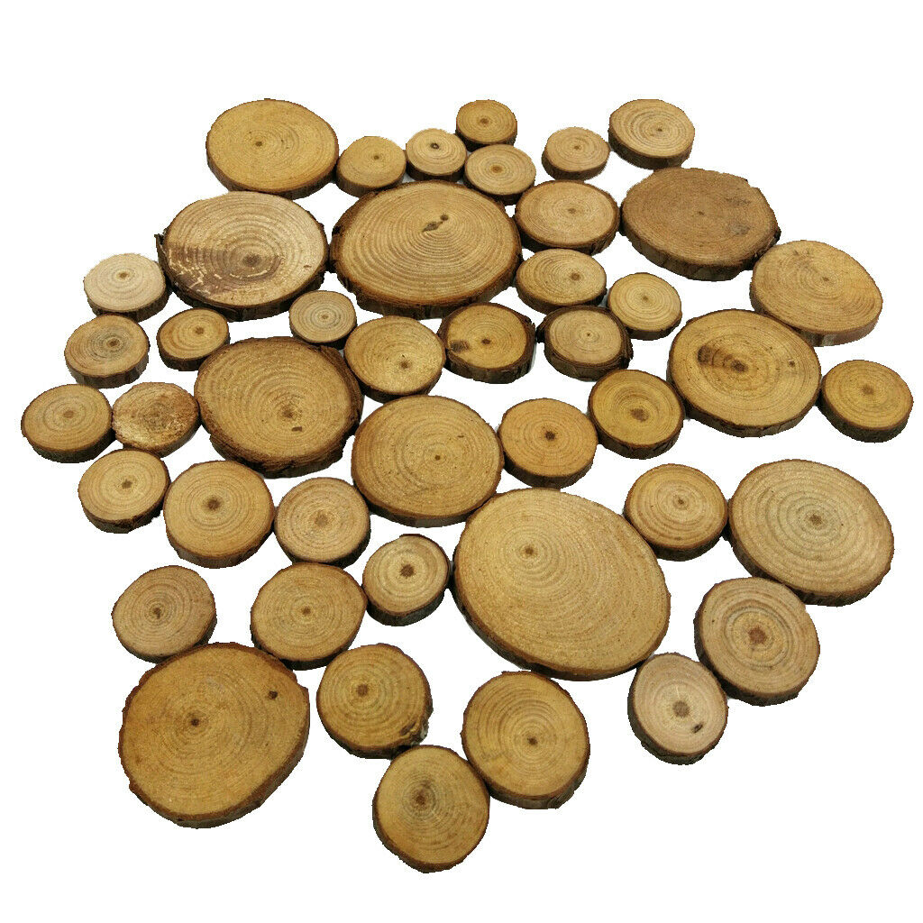 100x Wood Tree Slices Disc Pine Tree Log Plaques for Drawing Paintings 2-4cm