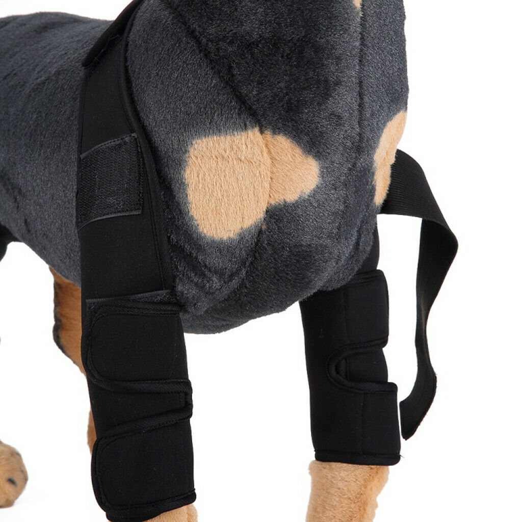 Black M Pet Dog Puppy Front Leg Hock Joint Wrap Protect Wounds