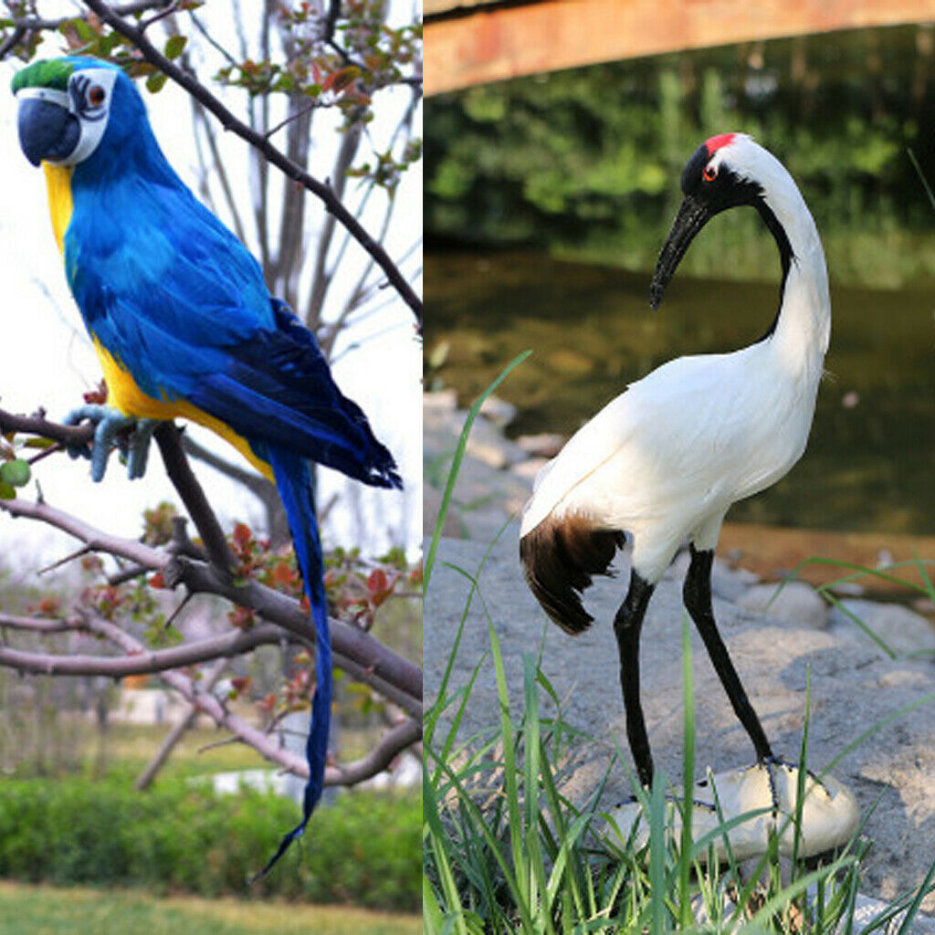 2X Realistic Parrot Red-crowned Crane Bird Sculpture Garden Outdoor Decor