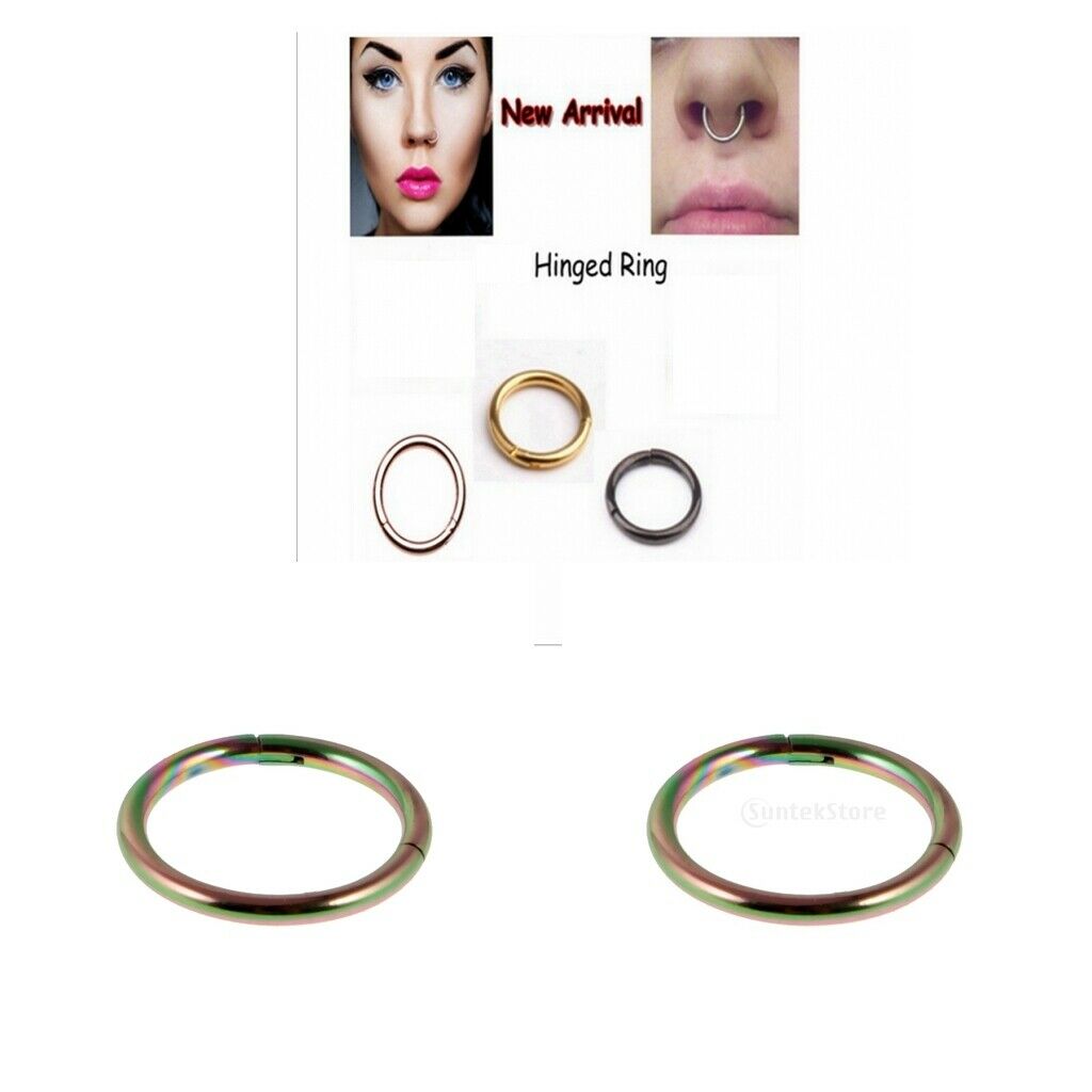 2 Piece Stainless Nose Ring Clicker Septum Hinge Tragus 16G 1.2x10mm Rainbow