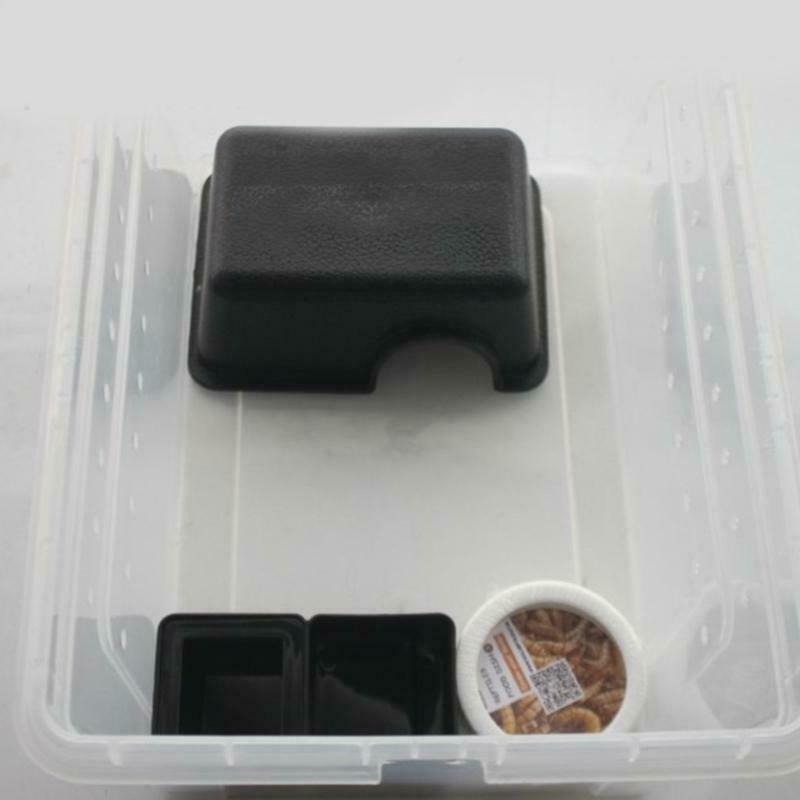 Reptile Hideout Box Small Critter Cavern Hideout Caves Small Animal Hideaway