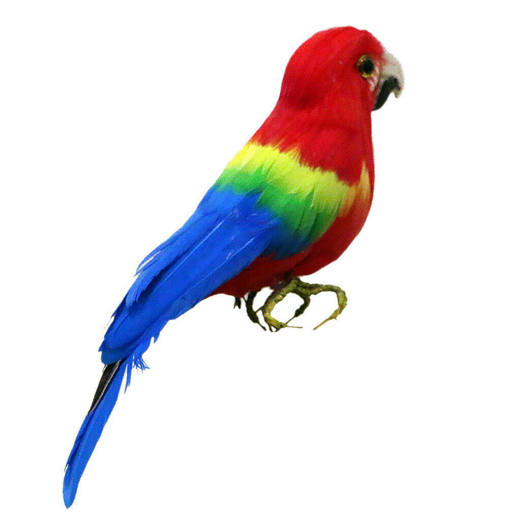Artificial Bird Feathered Realistic Garden Home Decor Ornament  Parrot #4