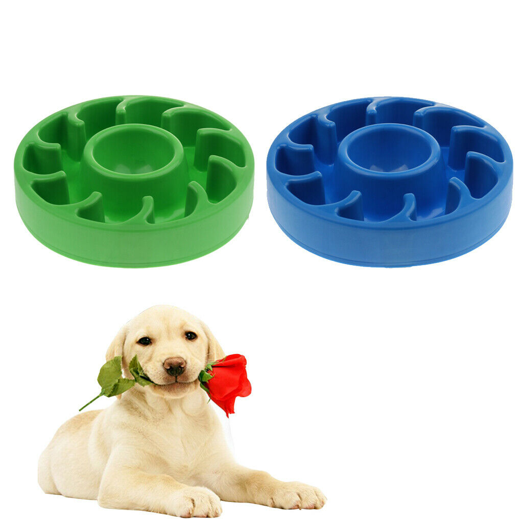 Pet Dog & Cat Slow Eating Food Bowl Anti Gulping Feeder Healthy Bowl Green