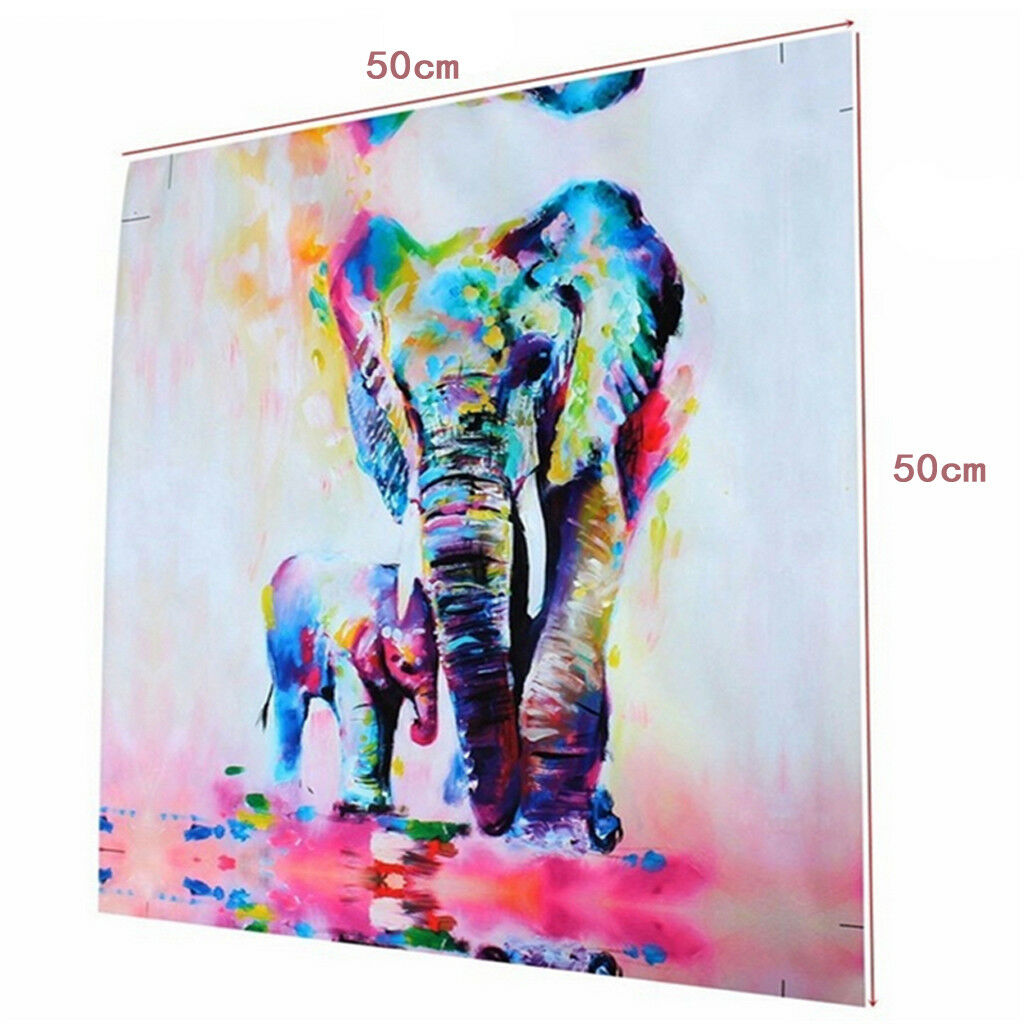 50x50cm Canvas Decorative Wall Art Painting Picture Elephant Print No Framed