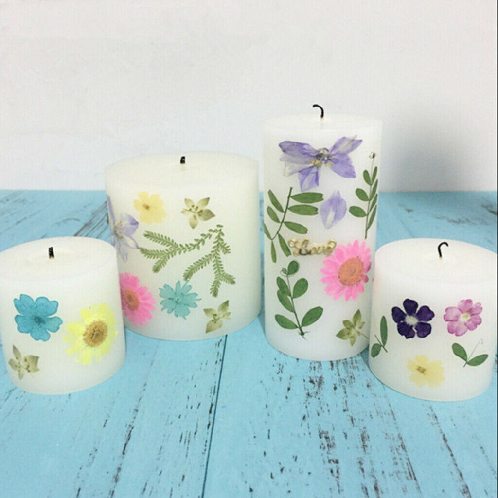 10pcs Pressed Dried Flowers Candle /Soap Charms Face Make Up Floral Decor