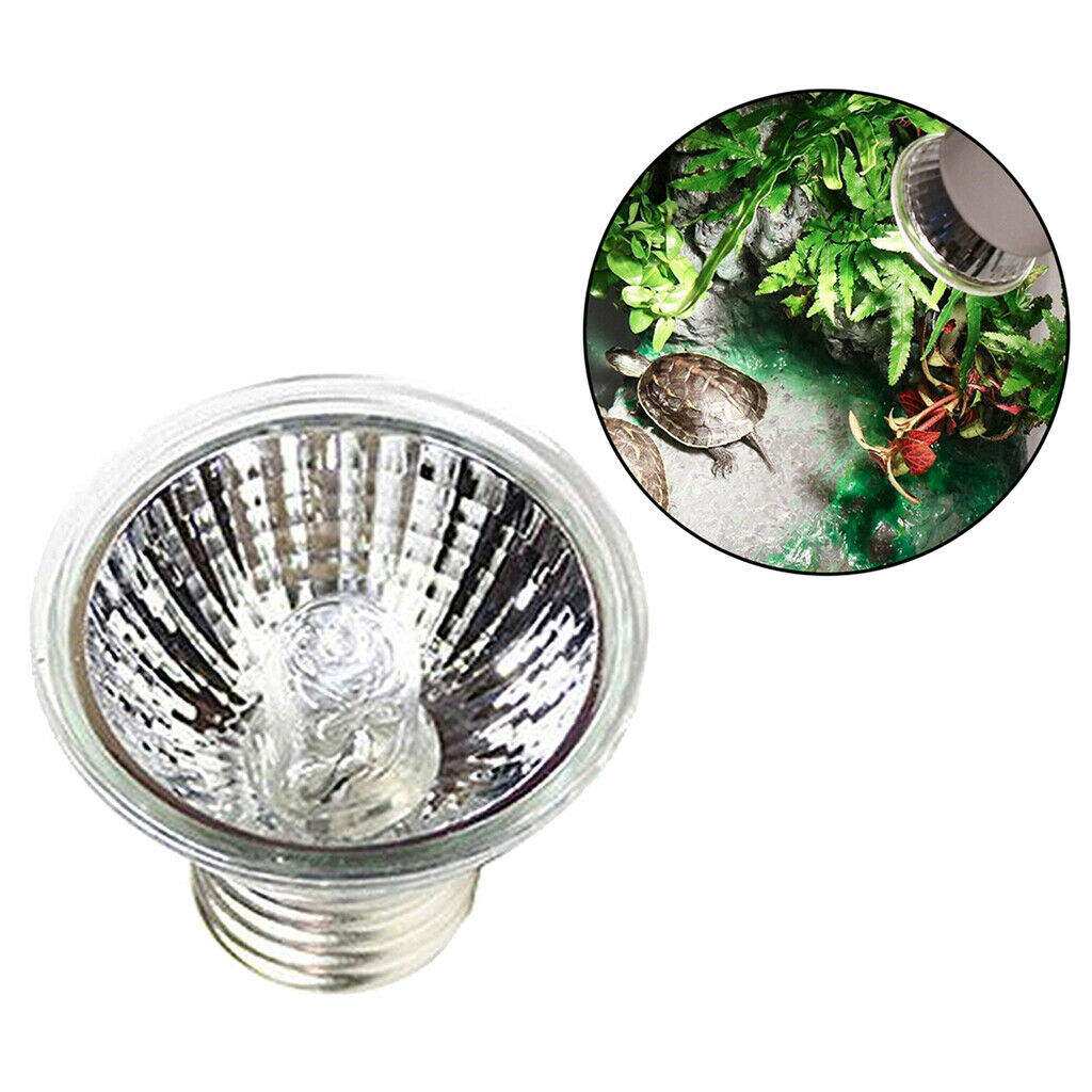 Reptile Heating Lamp Tortise Snakes Spiders 25W/50W/75W Esy to Use 25W
