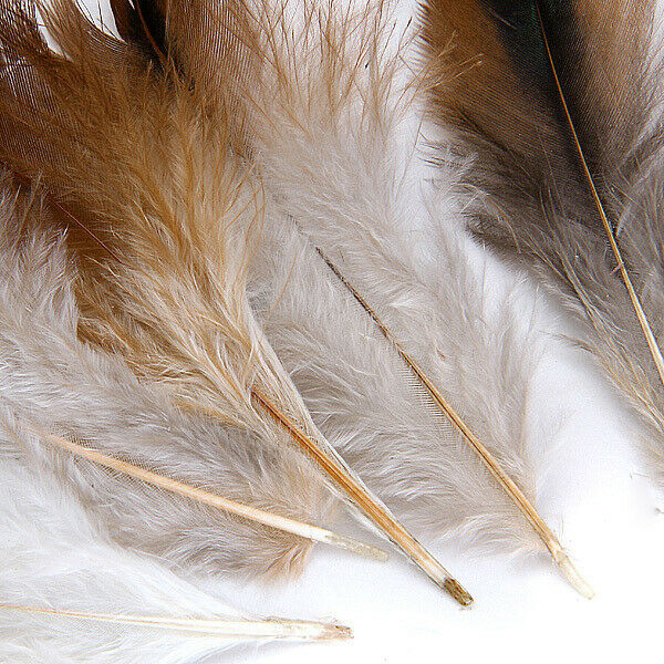 50pcs Natural Rooster Cock Feathers Fascir Costume DIY Sewing Craft 2-6