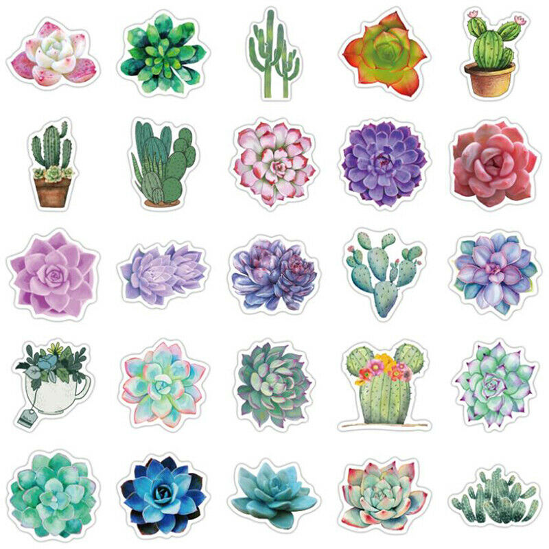 50Pc Cartoon Succulent Cactus Plant Stickers Luggage Guitar Graffiti Stic.l8