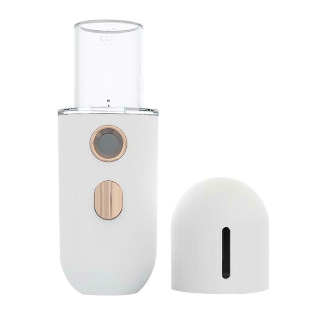 Portable Rechargeable USB 12ml Facial Nano Mist Sprayer Steamer Moisturizing